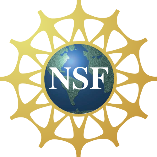 NSF logo